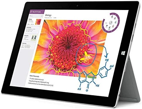 Microsoft  Surface Pro - view 2