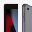 Apple (Renewed) 2021 iPad (10.2-inch iPad, Wi-Fi + Cellular (9th Generation)