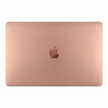 Apple MacBook Air laptop, gold back with Apple logo